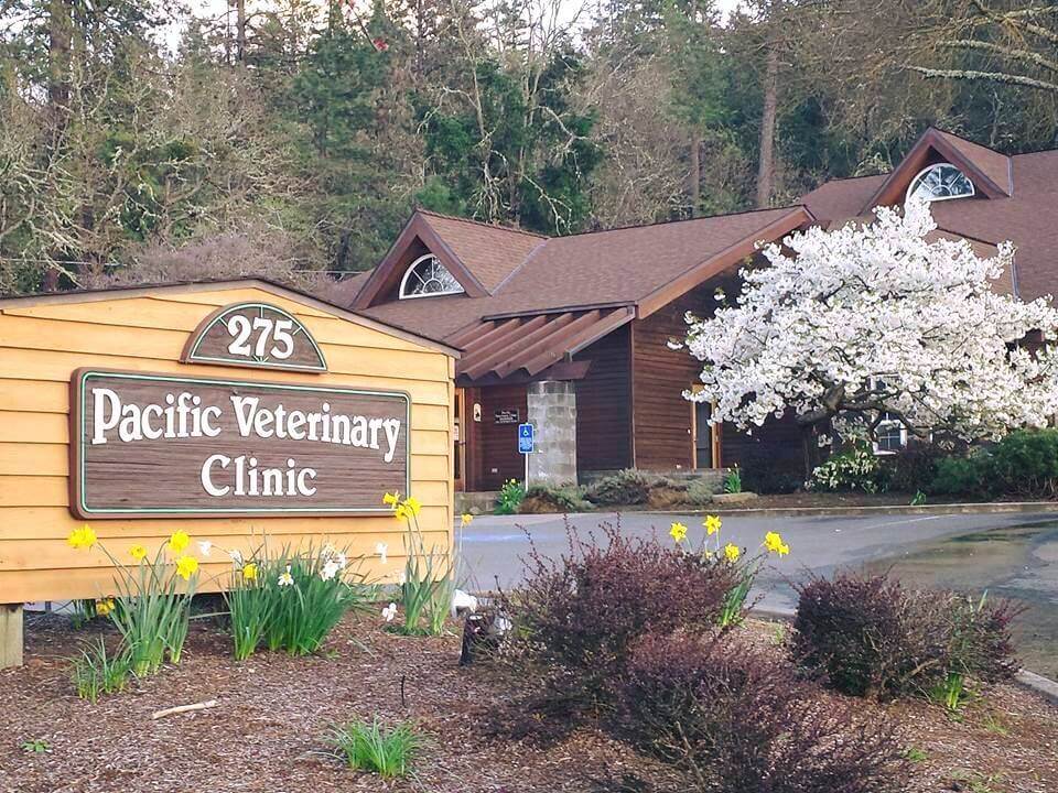 Pacific Veterinary Clinic Building